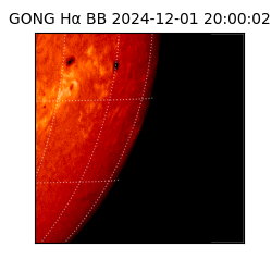 gong - 2024-12-01T20:00:02