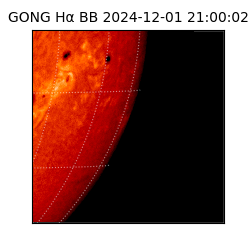 gong - 2024-12-01T21:00:02