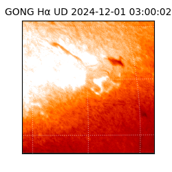 gong - 2024-12-01T03:00:02