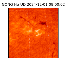 gong - 2024-12-01T08:00:02