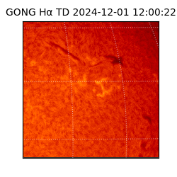 gong - 2024-12-01T12:00:22