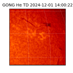 gong - 2024-12-01T14:00:22