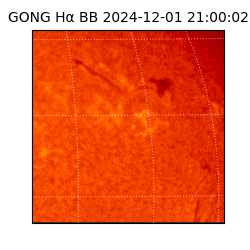 gong - 2024-12-01T21:00:02