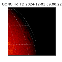 gong - 2024-12-01T09:00:22