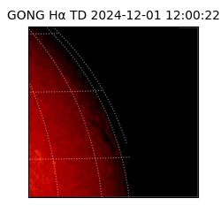 gong - 2024-12-01T12:00:22