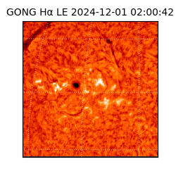 gong - 2024-12-01T02:00:42