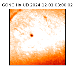 gong - 2024-12-01T03:00:02