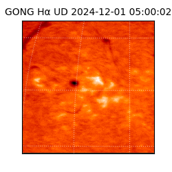 gong - 2024-12-01T05:00:02