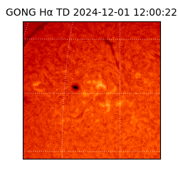 gong - 2024-12-01T12:00:22