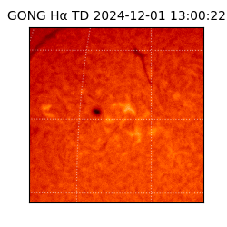 gong - 2024-12-01T13:00:22