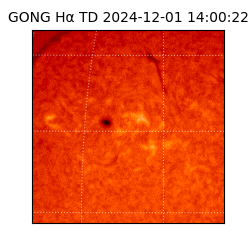 gong - 2024-12-01T14:00:22