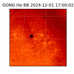 gong - 2024-12-01T17:00:02