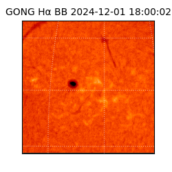 gong - 2024-12-01T18:00:02