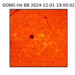 gong - 2024-12-01T19:00:02