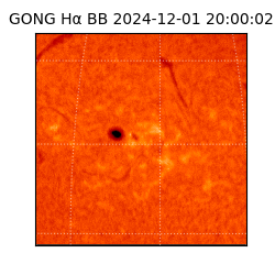 gong - 2024-12-01T20:00:02