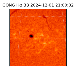 gong - 2024-12-01T21:00:02