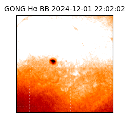 gong - 2024-12-01T22:02:02