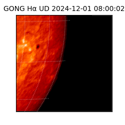 gong - 2024-12-01T08:00:02