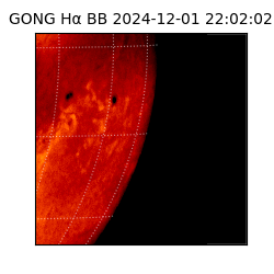 gong - 2024-12-01T22:02:02