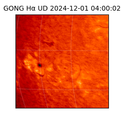 gong - 2024-12-01T04:00:02