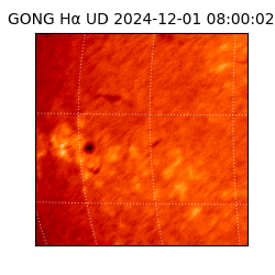 gong - 2024-12-01T08:00:02