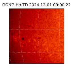 gong - 2024-12-01T09:00:22