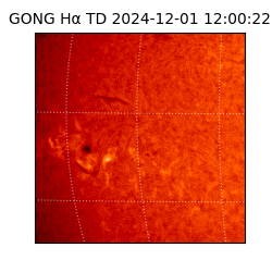 gong - 2024-12-01T12:00:22