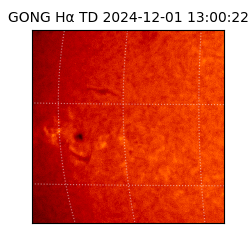 gong - 2024-12-01T13:00:22