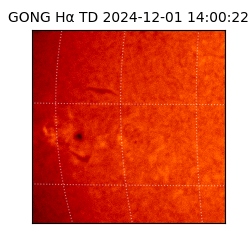 gong - 2024-12-01T14:00:22