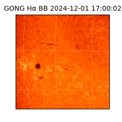 gong - 2024-12-01T17:00:02