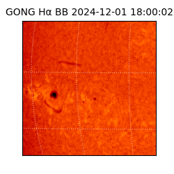 gong - 2024-12-01T18:00:02