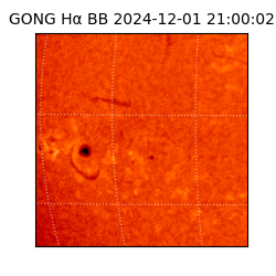 gong - 2024-12-01T21:00:02