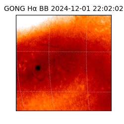 gong - 2024-12-01T22:02:02