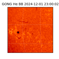 gong - 2024-12-01T23:00:02