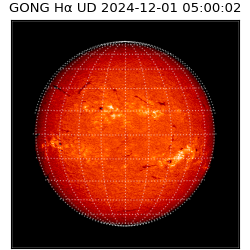 gong - 2024-12-01T05:00:02