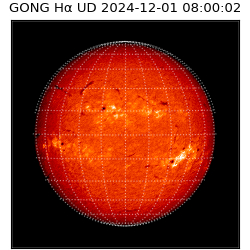 gong - 2024-12-01T08:00:02