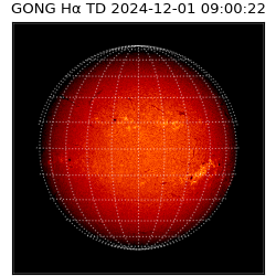 gong - 2024-12-01T09:00:22