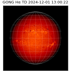 gong - 2024-12-01T13:00:22