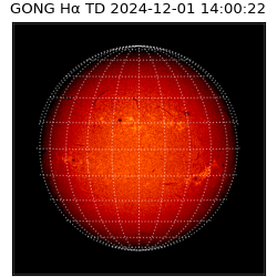gong - 2024-12-01T14:00:22