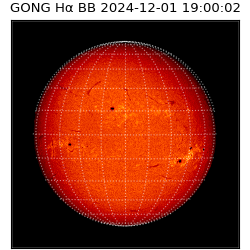 gong - 2024-12-01T19:00:02