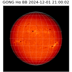 gong - 2024-12-01T21:00:02
