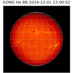 gong - 2024-12-01T23:00:02