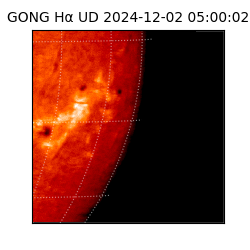 gong - 2024-12-02T05:00:02