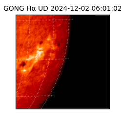 gong - 2024-12-02T06:01:02