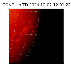 gong - 2024-12-02T12:01:22