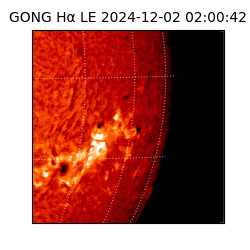 gong - 2024-12-02T02:00:42