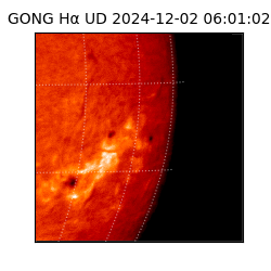 gong - 2024-12-02T06:01:02