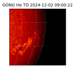 gong - 2024-12-02T09:00:22