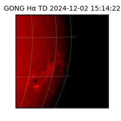 gong - 2024-12-02T15:14:22
