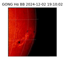 gong - 2024-12-02T19:10:02